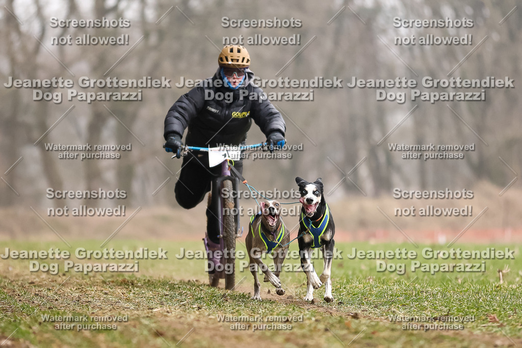 Dog Paparazzi - Plate 2026-35 | Dog Paparazzi Jeanette Grottendiek Fotografie & Videografie - Realisiert mit Pictrs.com