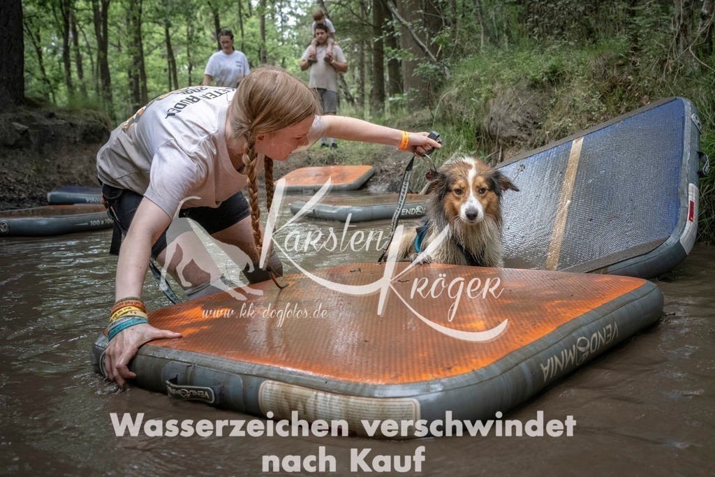 1213_ZZ97940T | kk-dogfotos
