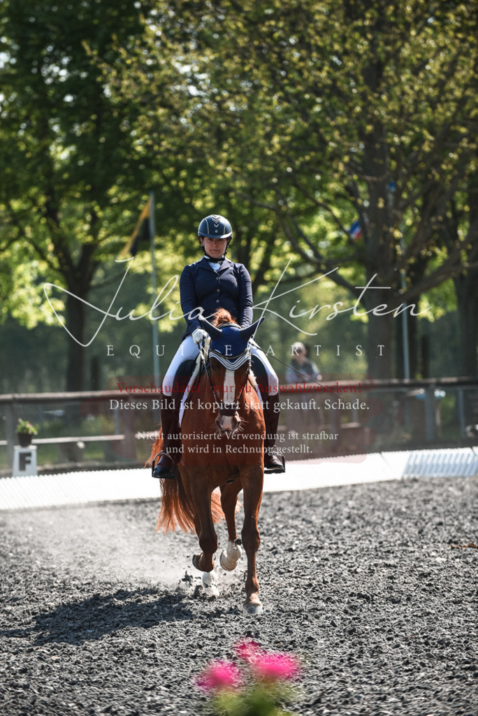 DSC_8841 | Pferde- und Turnierfotografie in Westsachsen. Pferdeportraits, Auftragszeichnungen und intuitive Kunst.