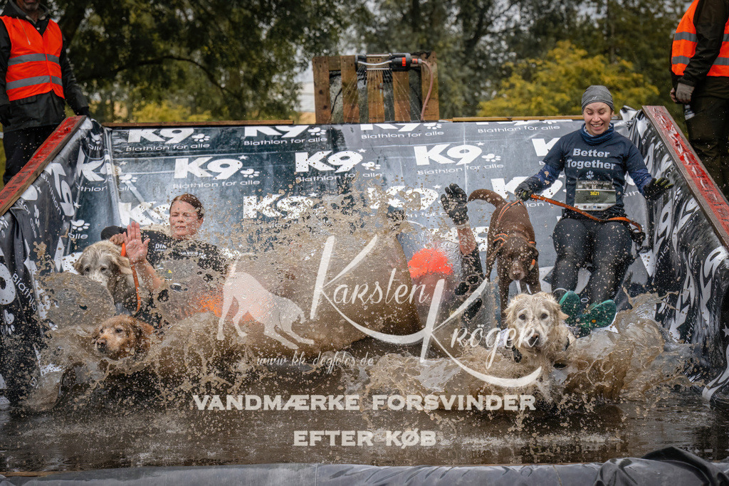 1213_ZZ94759 | kk-dogfotos