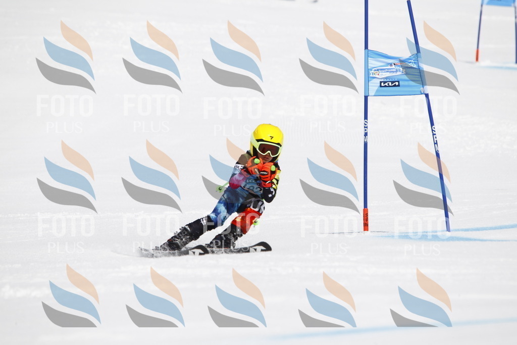 _U3G4783 | holidayphoto