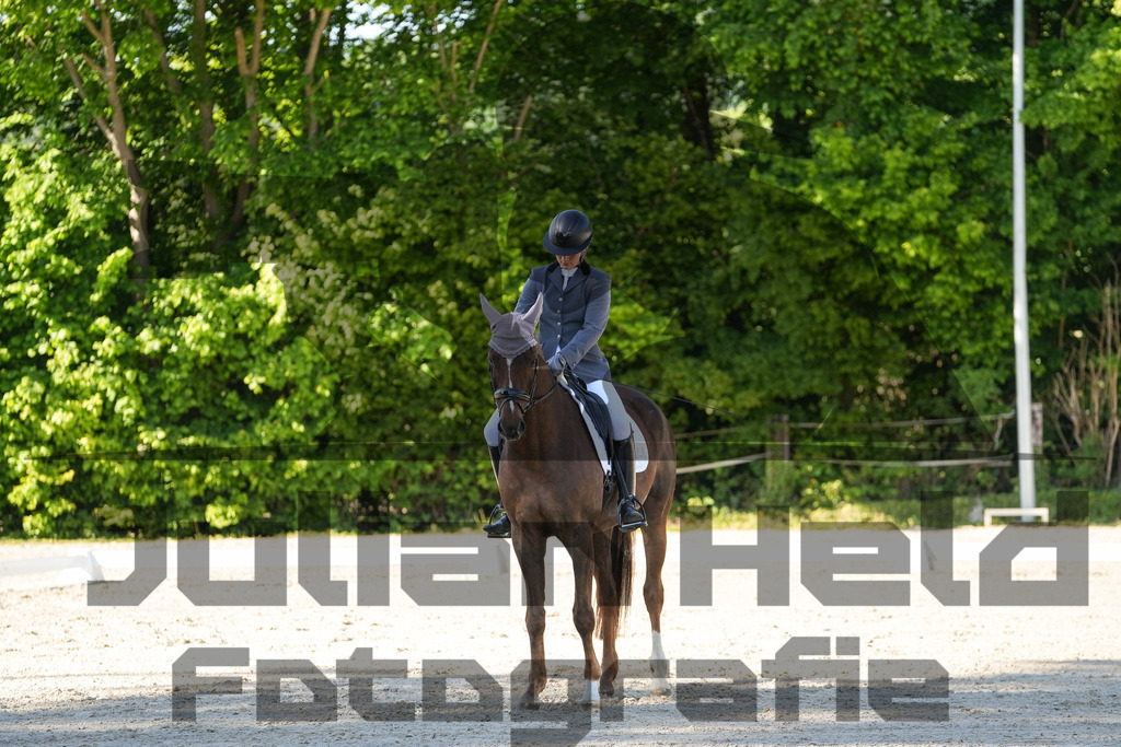 DSC00803 | Julian Held Fotografie - Realisiert mit Pictrs.com