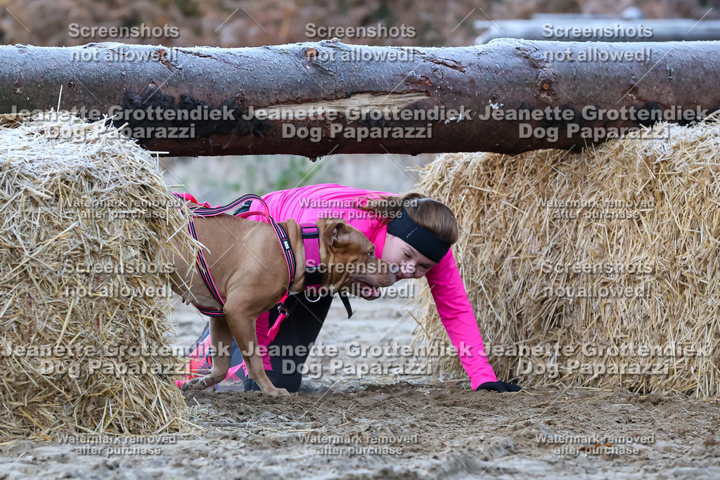 Dog Paparazzi - Strongdog 10-25-180 | Dog Paparazzi Jeanette Grottendiek Fotografie & Videografie - Realisiert mit Pictrs.com