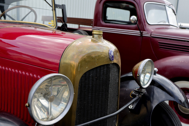 Calag_Oldtimer2025-56 | Ich fotografiere Hundeausstellungen, Sportanlässe, Zuchtstätten, Hundezucht, Hundeportrait, Lagotto - Realisiert mit Pictrs.com
