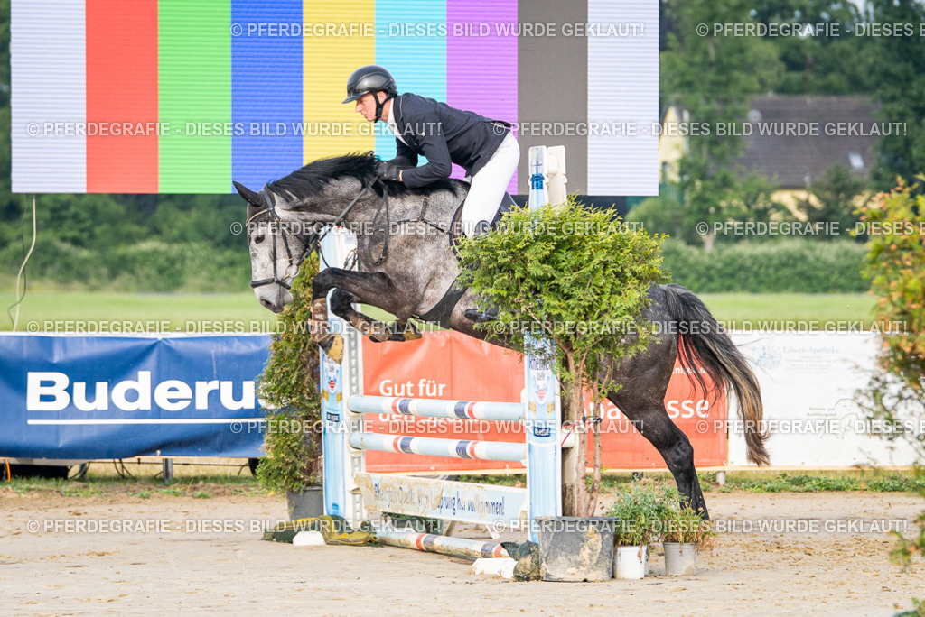 DSC07584 | Pferdegrafie