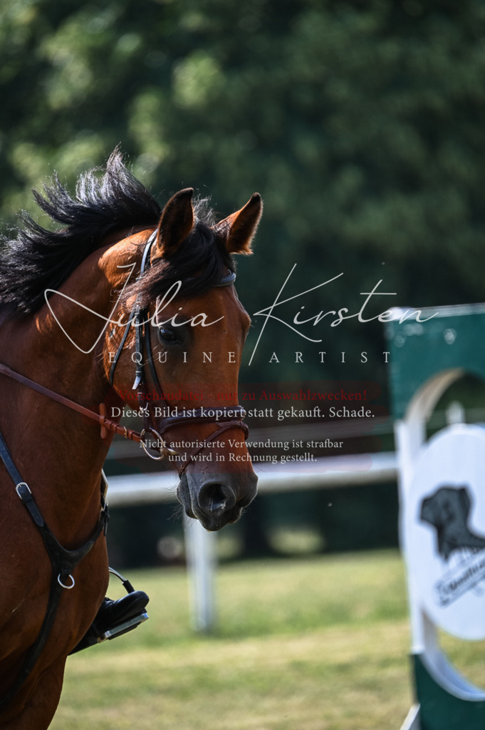 DSC_7794 | Pferde- und Turnierfotografie in Westsachsen. Pferdeportraits, Auftragszeichnungen und intuitive Kunst.