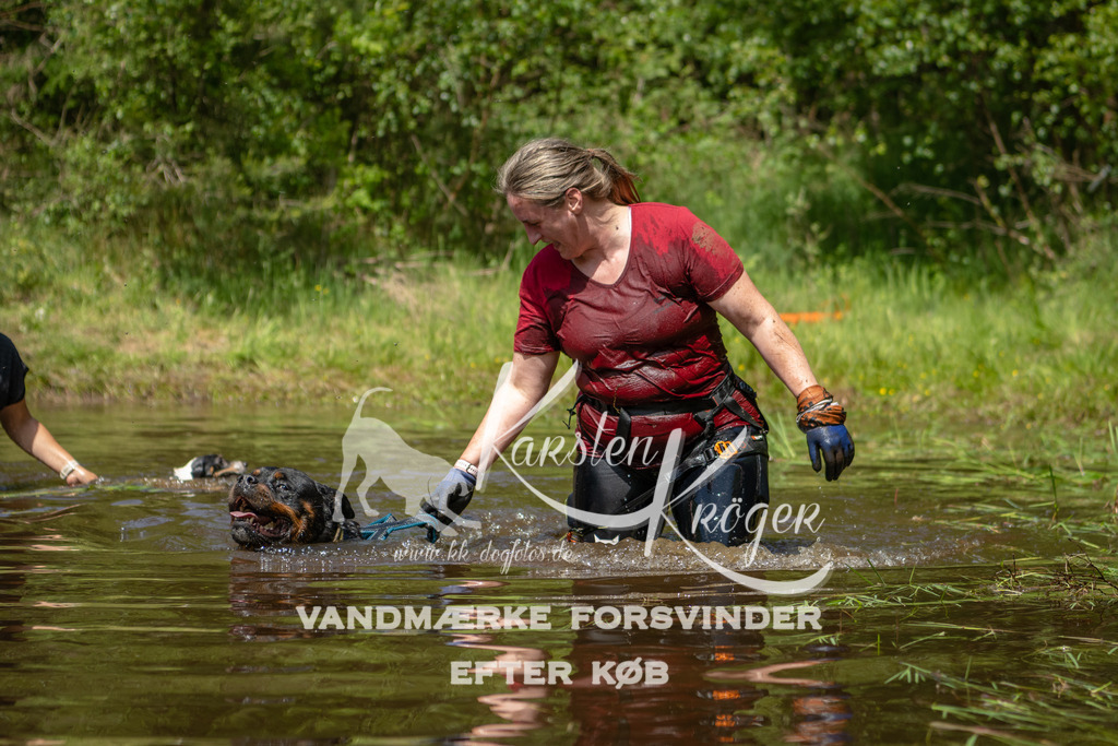 1255DKK993687 | kk-dogfotos