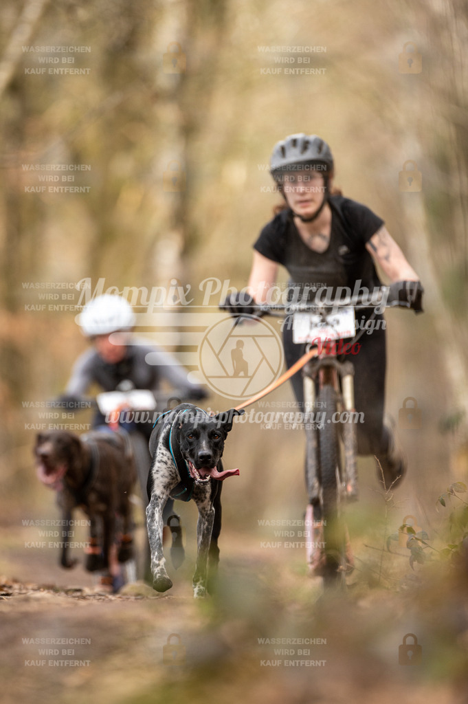 SPA_2023_SAM_Scooter-11 | PayLife