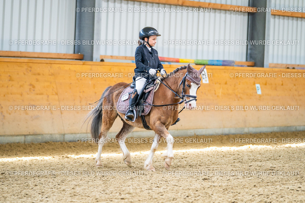 DSC02851 | Pferdegrafie