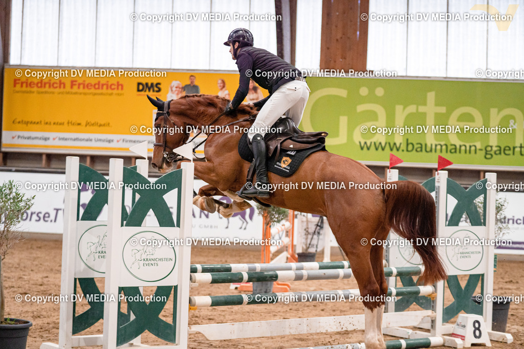 Kranichstein II Tag 1-29 | dv-media-shop - Realisiert mit Pictrs.com