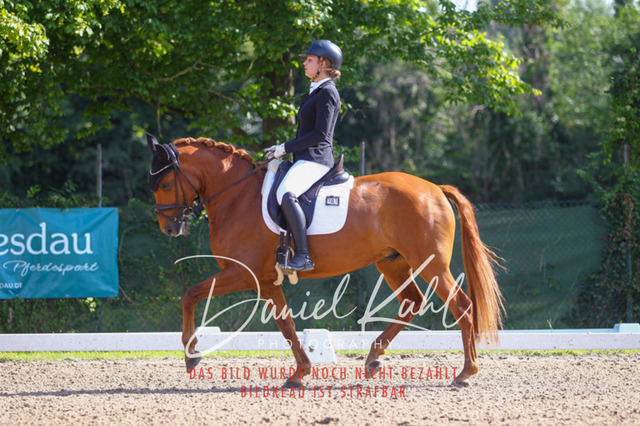 DKP42880 | Turnierfotos kaufen im Webshop von Daniel Kuhl Photography – entdecke professionelle Reitsportfotos aus Turnieren & Events. Hochwertige Turnierbilder online bestellen & sichern. Jetzt Fotos von Reitsportturnieren kaufen!