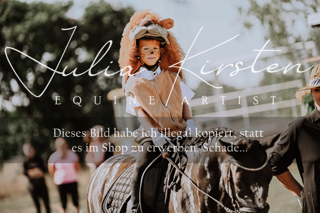 DSC_9165 | Pferde- und Turnierfotografie in Westsachsen. Pferdeportraits, Auftragszeichnungen und intuitive Kunst.