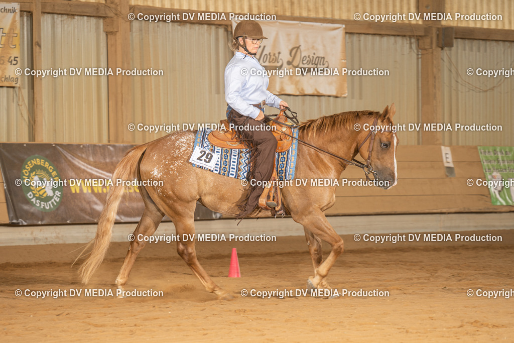 NID03048 | dv-media-shop - Realisiert mit Pictrs.com