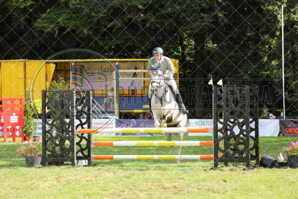 IMG_7432 | photographesa-joergens - Realisiert mit Pictrs.com