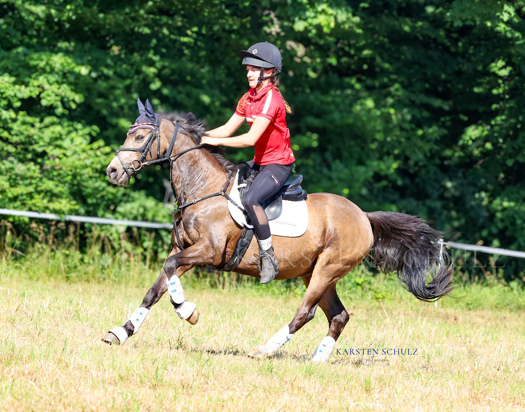 1B3A8016 | Reitsport Reiten