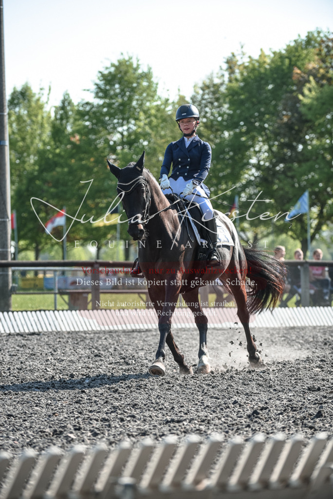 DSC_8565 | Pferde- und Turnierfotografie in Westsachsen. Pferdeportraits, Auftragszeichnungen und intuitive Kunst.