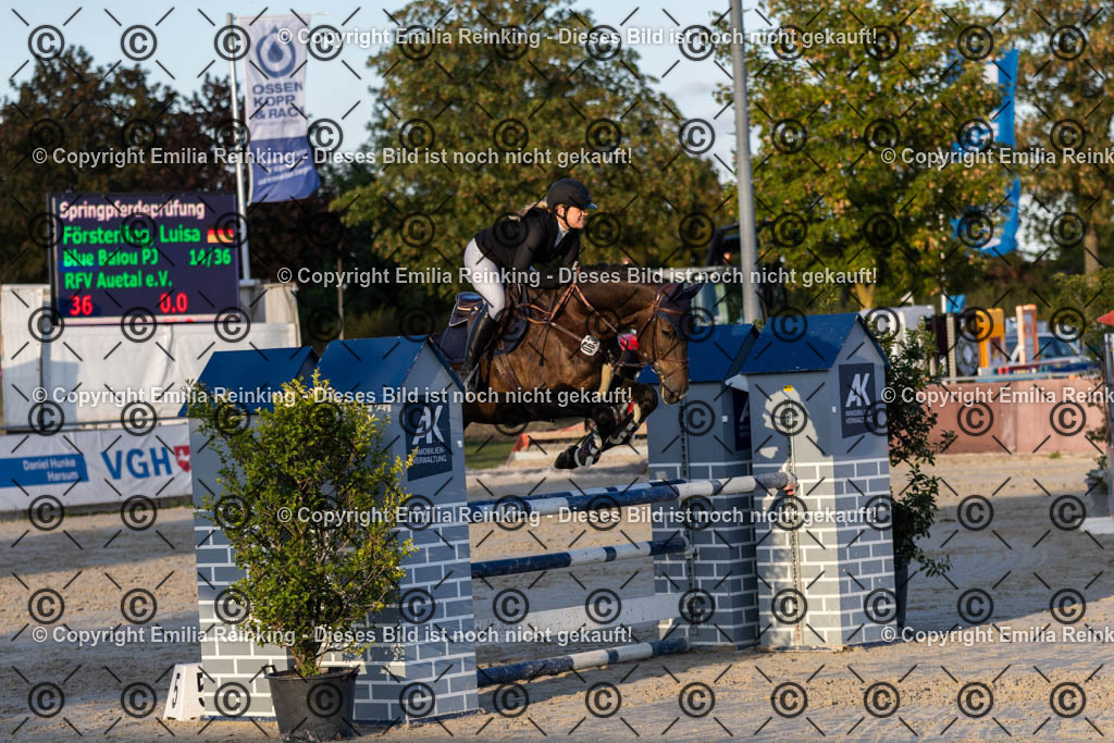 CL5A4471 | Emilia Reinking Fotografie - Realisiert mit Pictrs.com