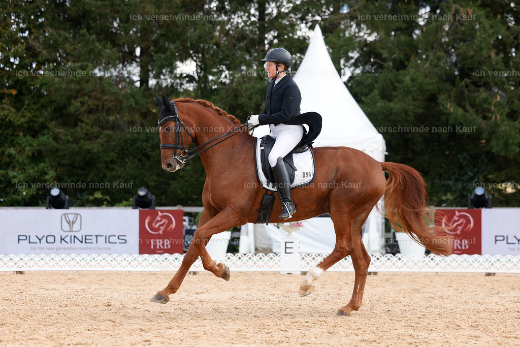 09_2-090-DRESSUR  S_  -StoibPH-5853 | working equitationturnier fotograf videograf stoibphotography marixx film working equitation deutschland reitsport turnierfotografie eventfotografie equestrian events