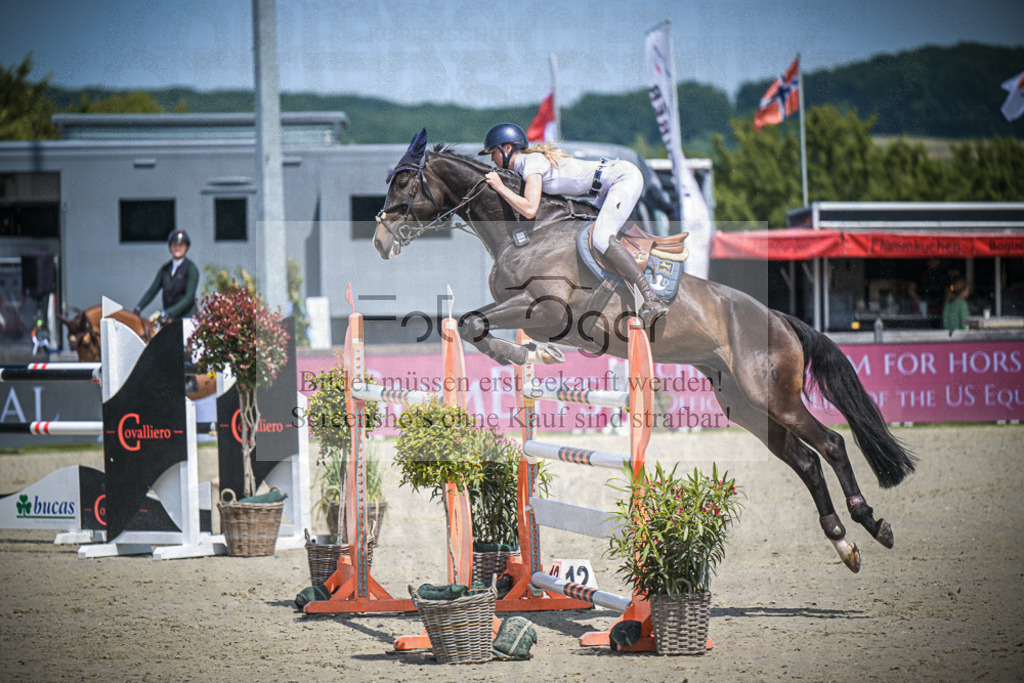 DOS_3546 | Entdecke hochwertige Reitturnierfotos von Foto Oger. Professionell, emotional und authentisch – jetzt Lieblingsmomente im Shop bestellen.Deutschlandweite Turnierfotografie. - Realisiert mit Pictrs.com