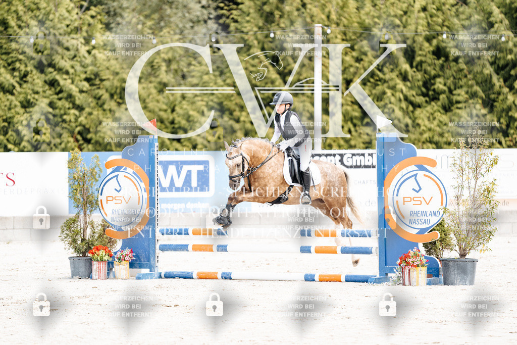 CK906207 | Turnierfotografie Pferdefotografie Trier Rheinland-Pfalz Pferdesport Reitsport Tierfotografie Sportfotografie Pferdevideo Pferdevideografie Equestrianvideography equestrianphotography  - Realisiert mit Pictrs.com