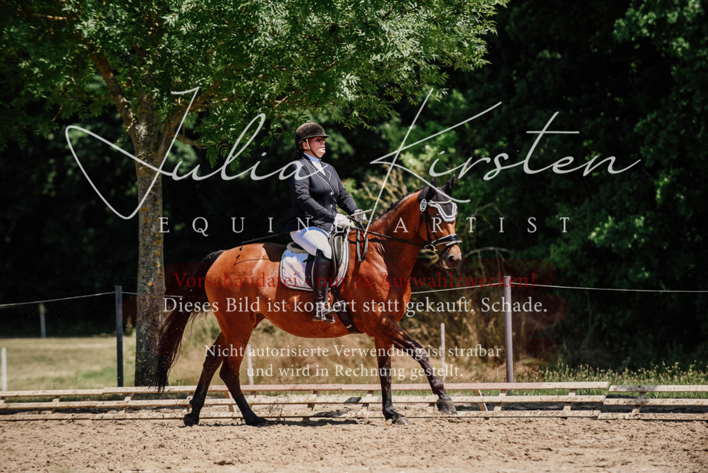 DSC_2022 | Pferde- und Turnierfotografie in Westsachsen. Pferdeportraits, Auftragszeichnungen und intuitive Kunst.