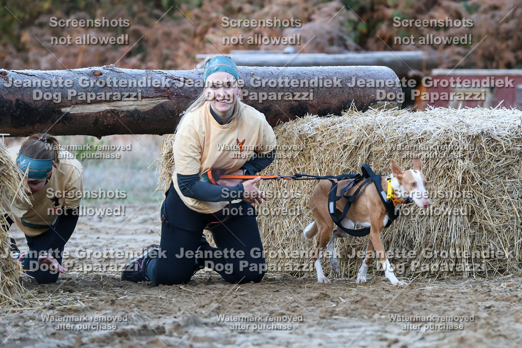 Dog Paparazzi - Strongdog 10-25-323 | Dog Paparazzi Jeanette Grottendiek Fotografie & Videografie - Realisiert mit Pictrs.com