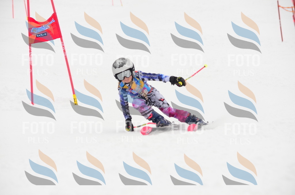 C1367 | holidayphoto