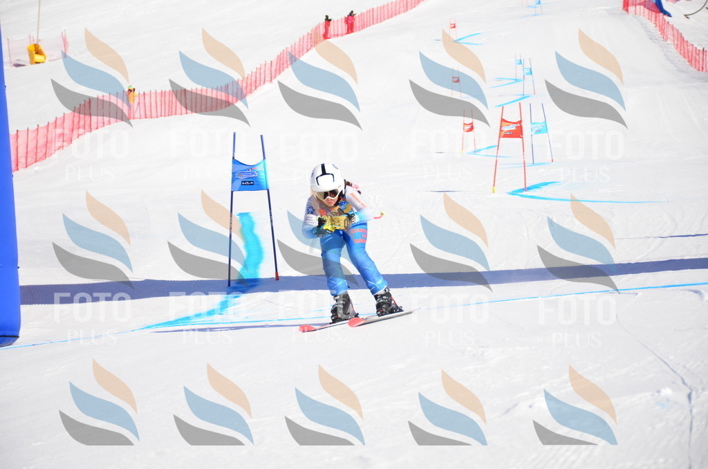 VR4_8326 | holidayphoto