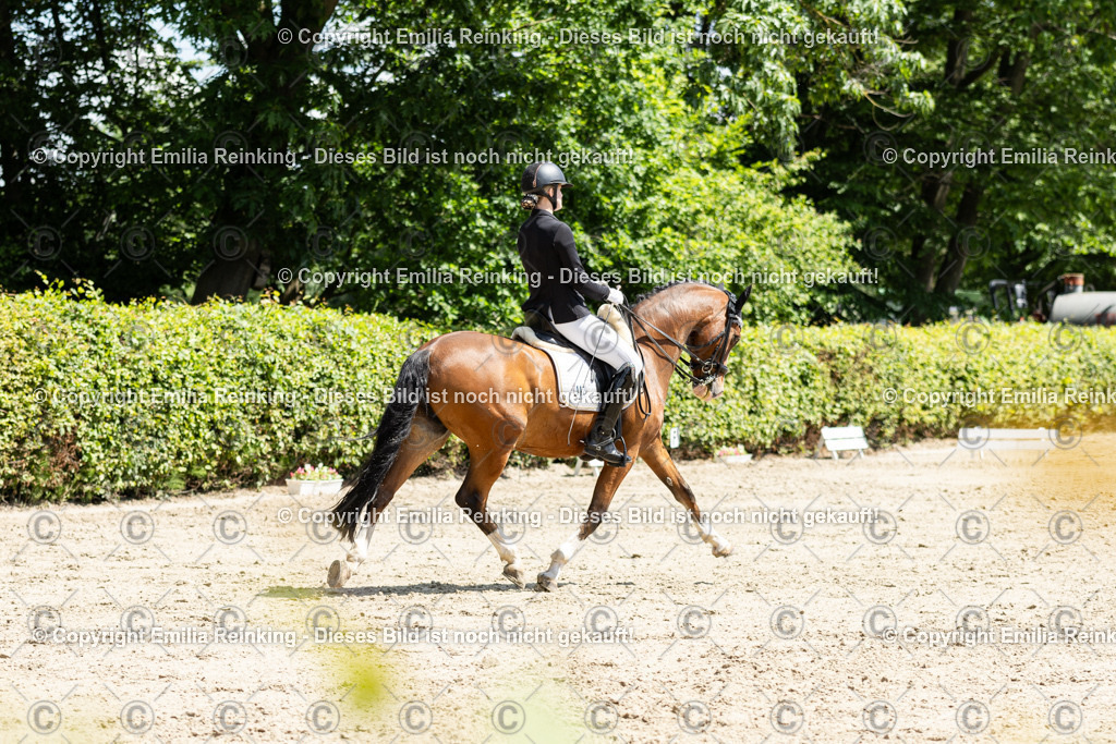 CL5A8857 | Emilia Reinking Fotografie - Realisiert mit Pictrs.com