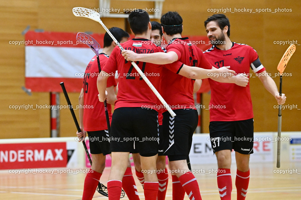VSV Unihockey vs. Phönix Fireball 11.2.2023 | Jubel Phoenix Fireball Mannschaft, #37 Tamás Rési