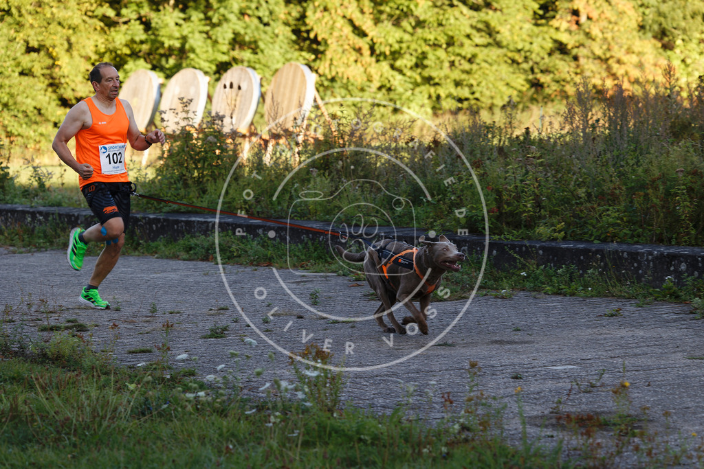 0L8A4718 | Hundefotografie, Tierfotograf, Pfotenfotografie, Fotoshooting Hund, Hunde Portrait, Hundesport, Hundeportraits, Heideshooting, Hunde, Sportfotograf, Hundefotograf, Turnierhundsport, THS,  - Realisiert mit Pictrs.com