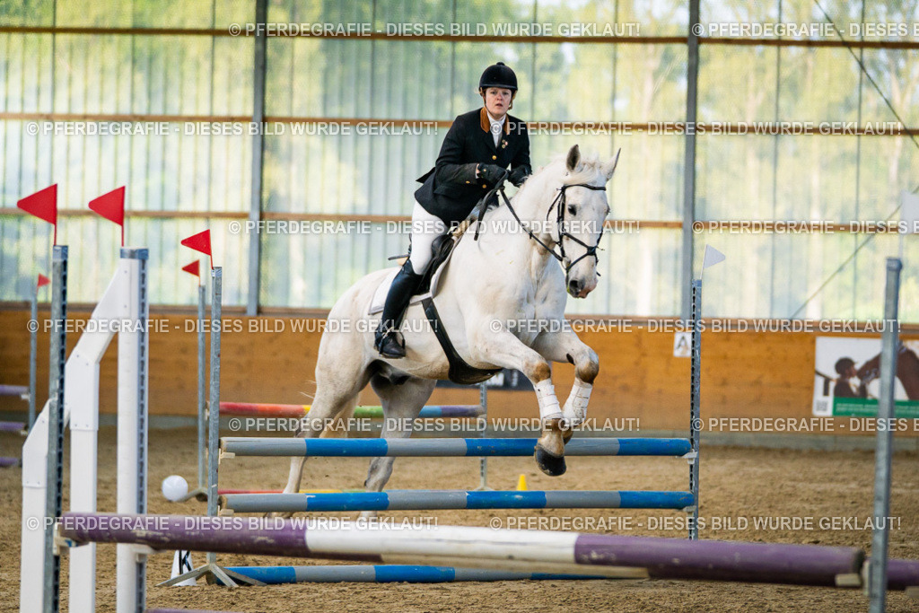 DSC00738 | Pferdegrafie