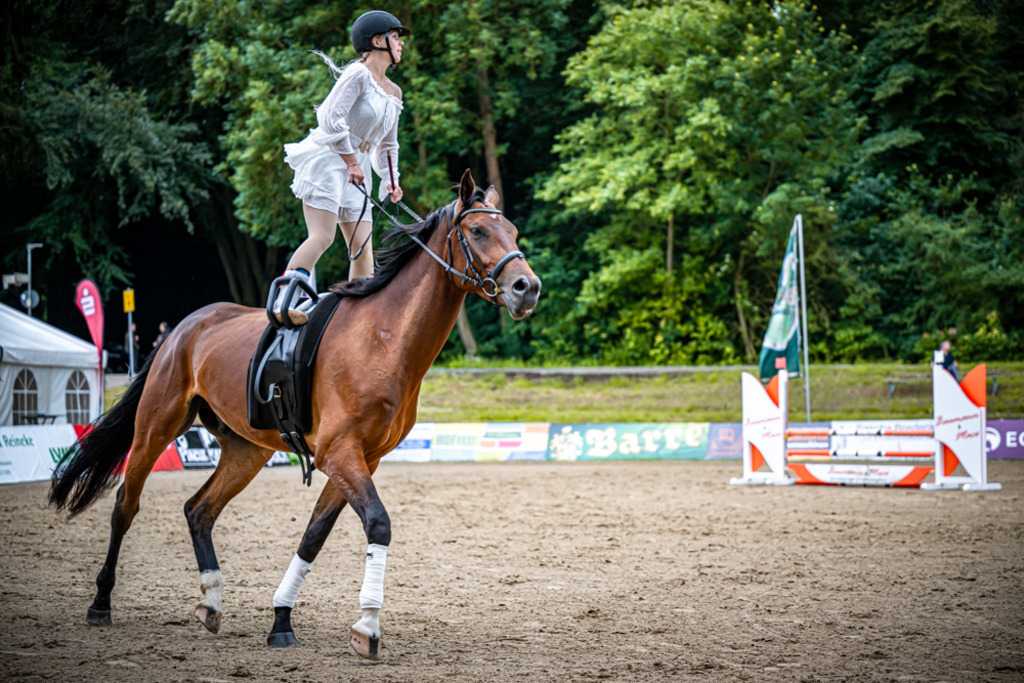 Sielturnier 2026 | Entdecke hochwertige Reitturnierfotos von Foto Oger. Professionell, emotional und authentisch – jetzt Lieblingsmomente im Shop bestellen.Deutschlandweite Turnierfotografie. - Realisiert mit Pictrs.com