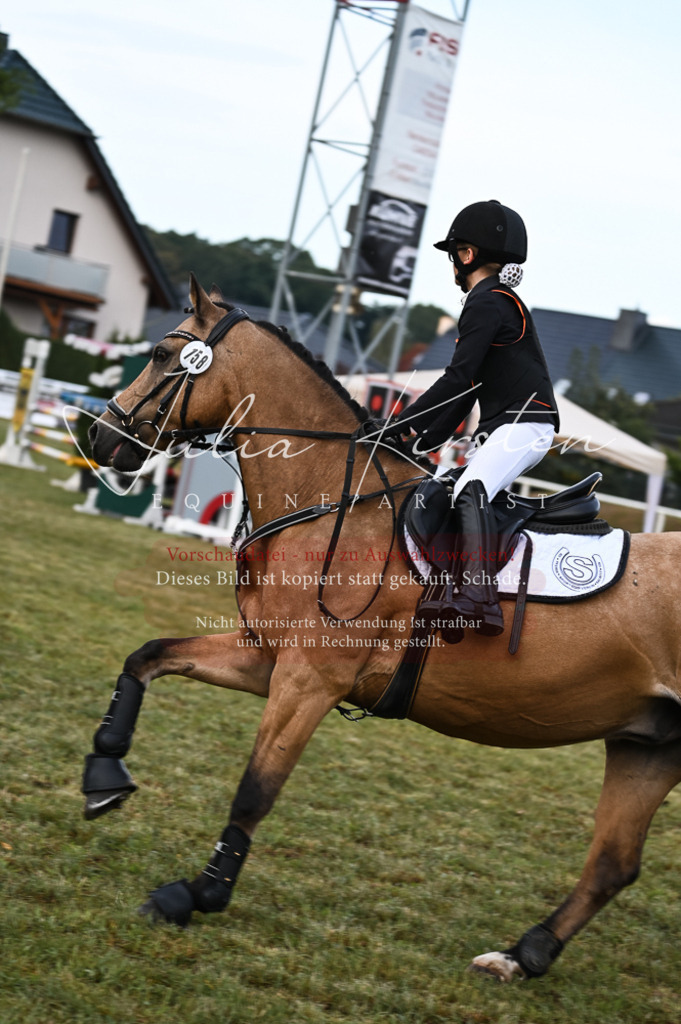 DSC_5622 | Pferde- und Turnierfotografie in Westsachsen. Pferdeportraits, Auftragszeichnungen und intuitive Kunst.