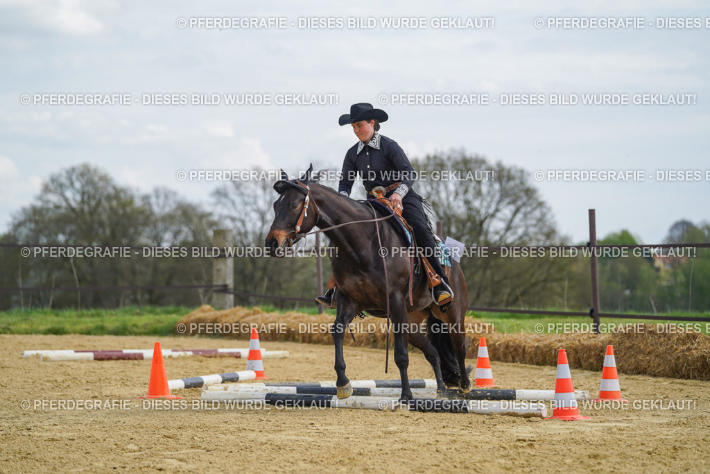 DSC05288 | Pferdegrafie