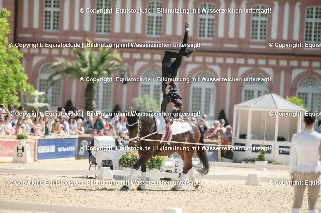 20230528_Voltigieren_NASPA_0150 | equistock