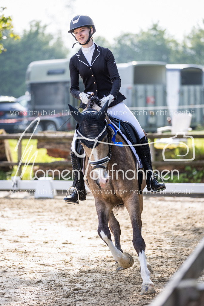 Donop24-A-Dre-170 | MomenTaufnahmen Pferdesportfotos