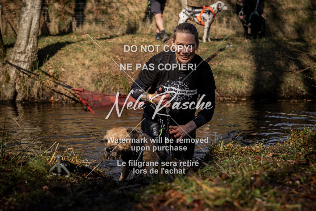 nelerasche_FS1100-1145_295 | nelerasche