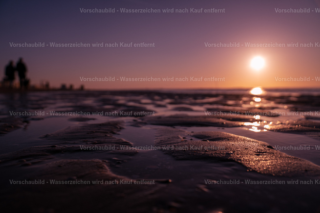 DSC02308 | marcuslinek