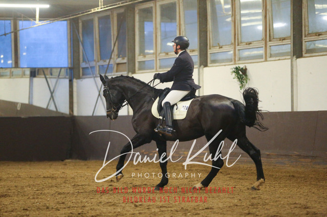 IMG_6929 | Turniersportfotografie; Pferdefotografie; Dressurfotografie