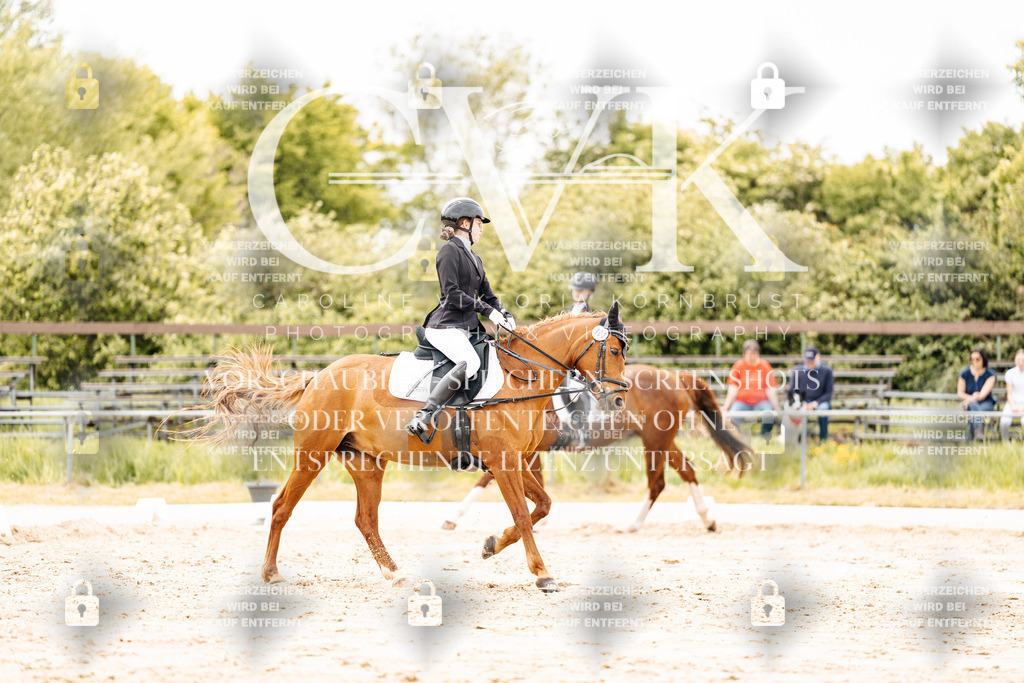 CK902976 | Turnierfotografie Pferdefotografie Trier Rheinland-Pfalz Pferdesport Reitsport Tierfotografie Sportfotografie Pferdevideo Pferdevideografie Equestrianvideography equestrianphotography  - Realisiert mit Pictrs.com