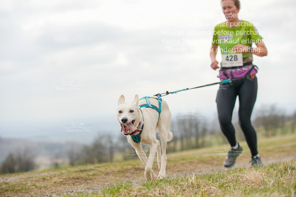 CaniXRunSA-164 | stephaniefillaphotographie - Realisiert mit Pictrs.com