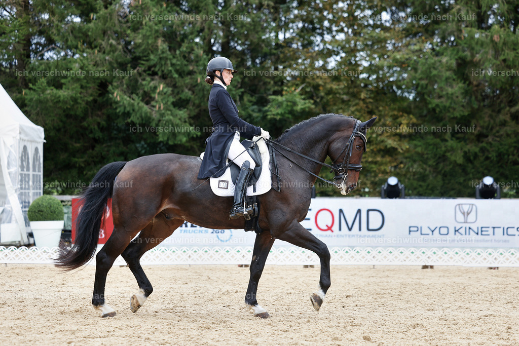 6-113-AMATUER-DRESSUR S_  -StoibPH-3613 | working equitationturnier fotograf videograf stoibphotography marixx film working equitation deutschland reitsport turnierfotografie eventfotografie equestrian events