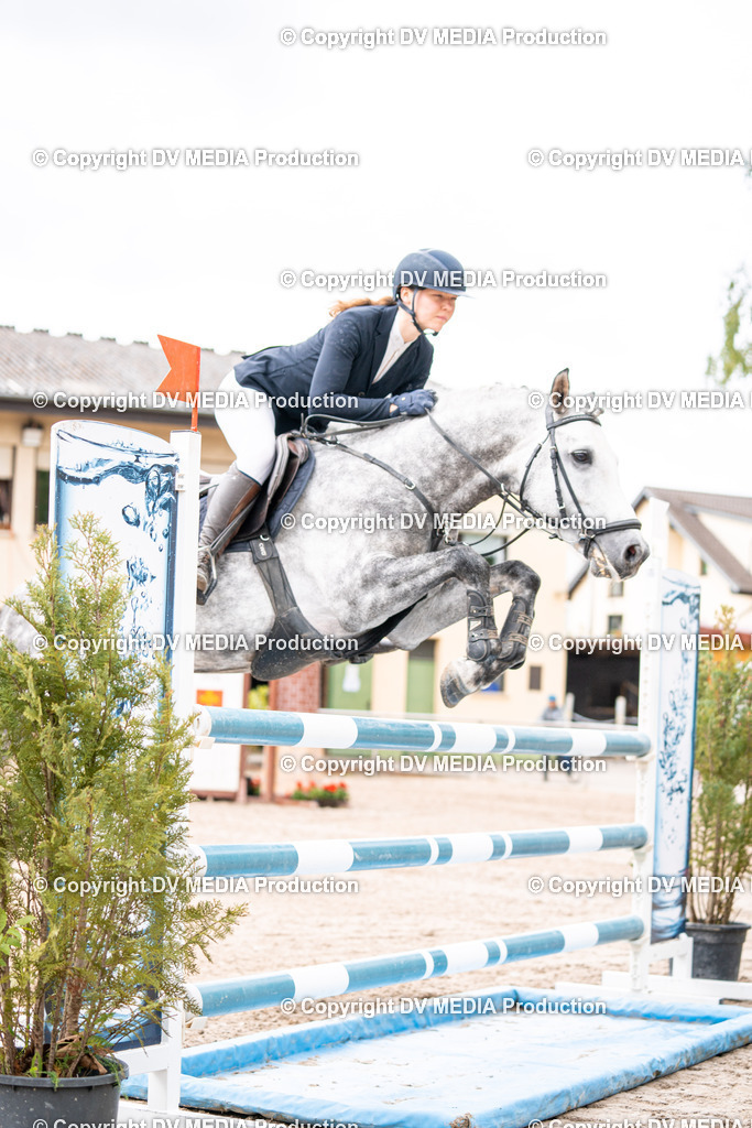 Eppelheim Tag 1-153 | dv-media-shop - Realisiert mit Pictrs.com