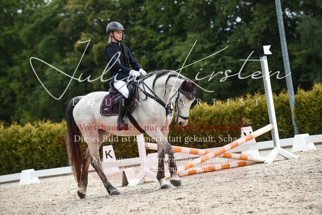 20230518_JK-Röhrsdorf-10-554 | Pferde- und Turnierfotografie in Westsachsen. Pferdeportraits, Auftragszeichnungen und intuitive Kunst.