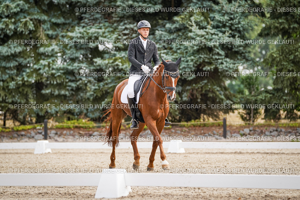 DSC01557 | Pferdegrafie