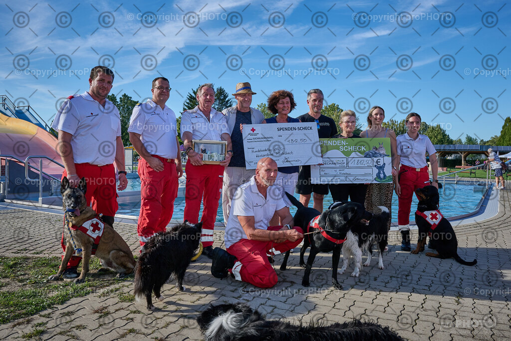 255_202509_4Hundebadetag_NZ9_3035 | proPHOTO - Realisiert mit Pictrs.com