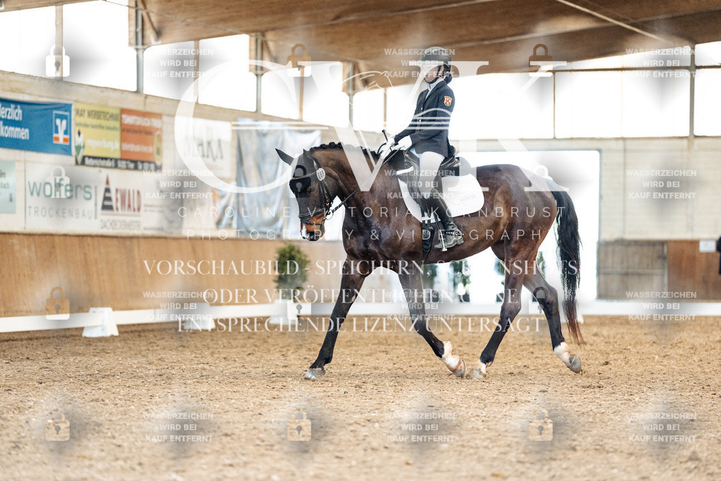 CK909916 | Turnierfotografie Pferdefotografie Trier Rheinland-Pfalz Pferdesport Reitsport Tierfotografie Sportfotografie Pferdevideo Pferdevideografie Equestrianvideography equestrianphotography  - Realisiert mit Pictrs.com