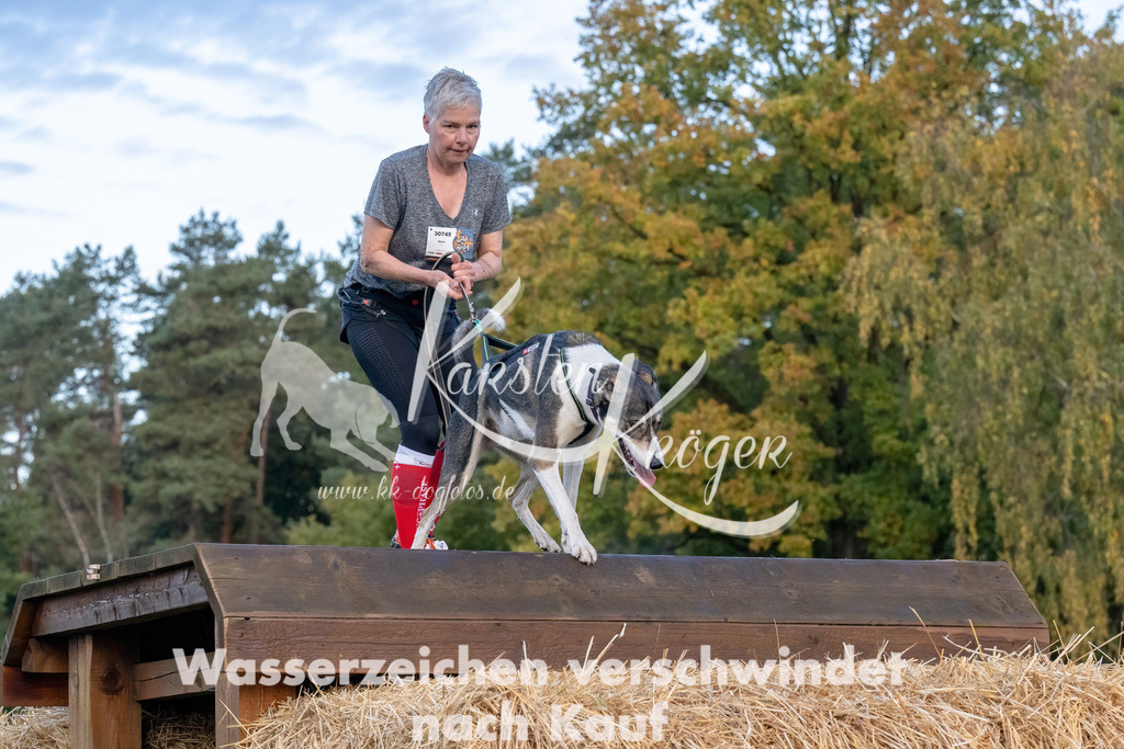 0811_ZZ94647-Bearbeitet | kk-dogfotos