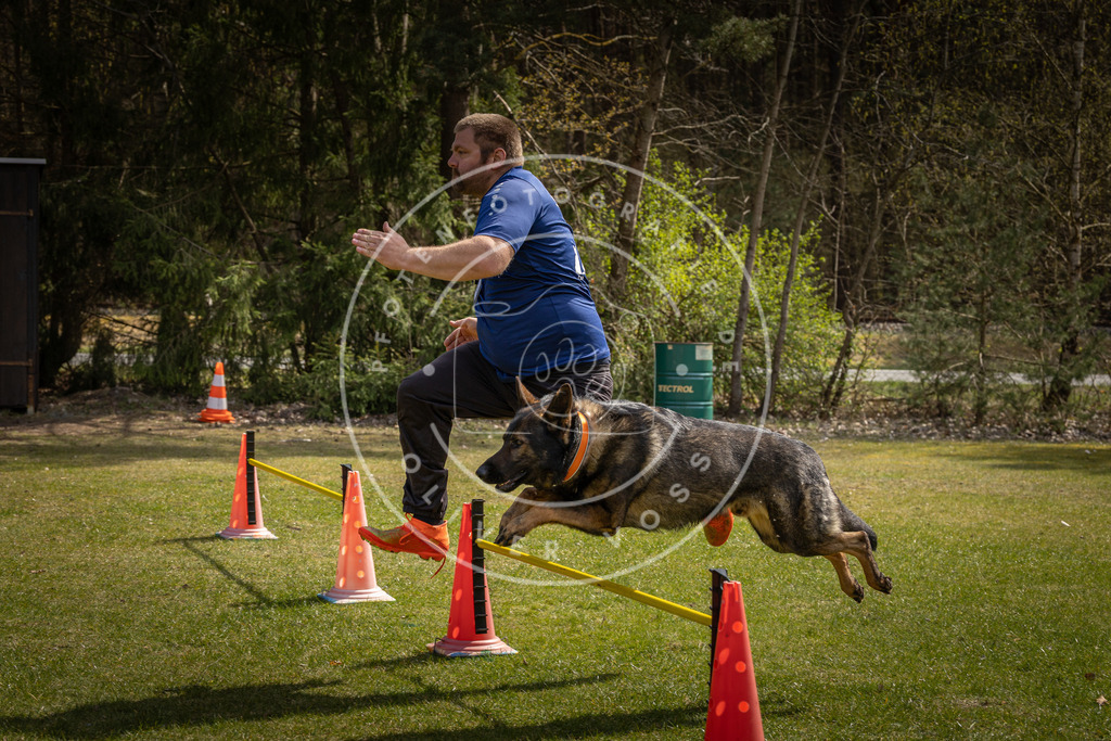 Pfotenfotografie_DV3A3886 | Hundefotografie, Tierfotograf, Pfotenfotografie, Fotoshooting Hund, Hunde Portrait, Hundesport, Hundeportraits, Heideshooting, Hunde, Sportfotograf, Hundefotograf, Turnierhundsport, THS,  - Realisiert mit Pictrs.com
